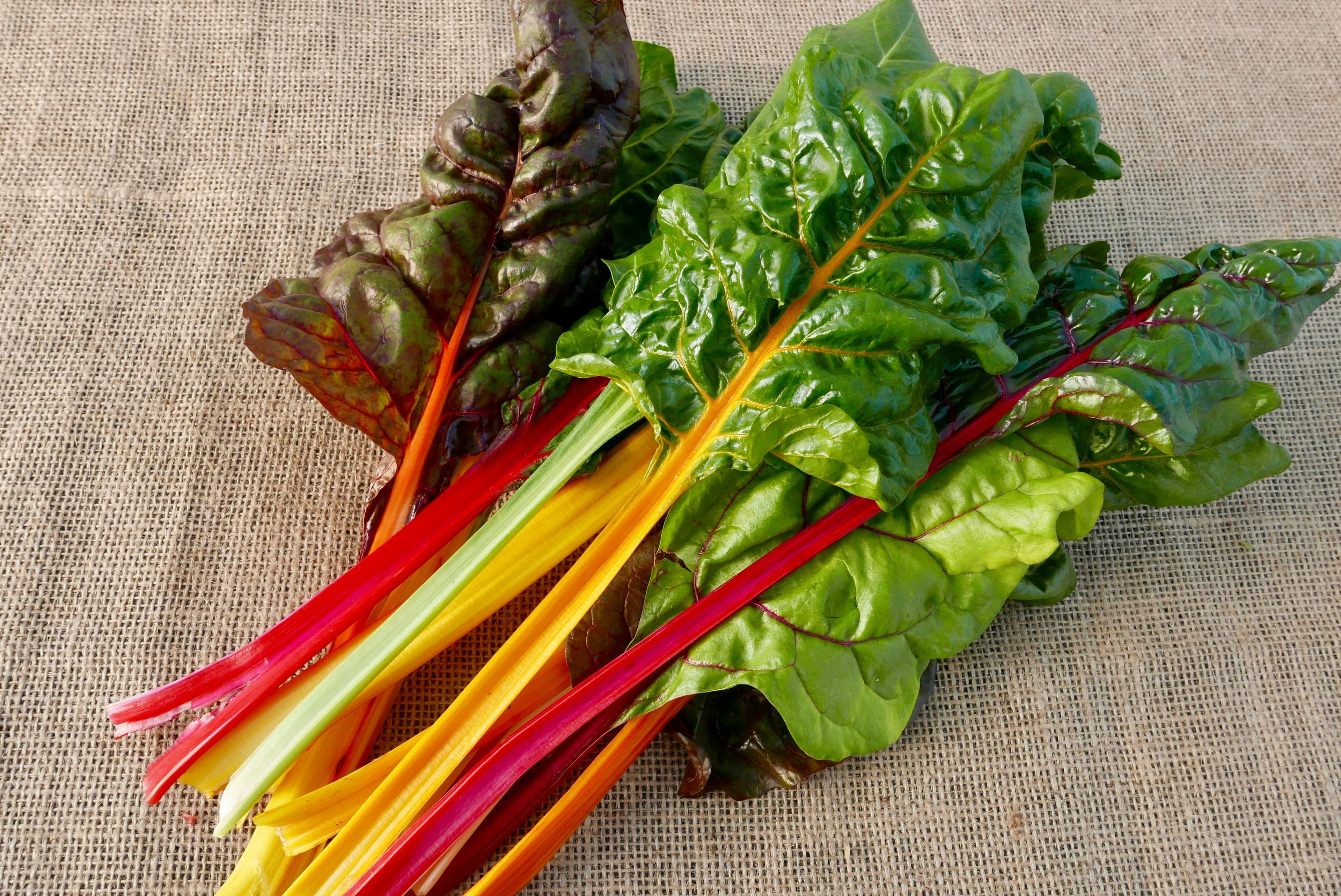 Rainbow Chard